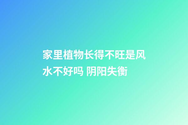家里植物长得不旺是风水不好吗 阴阳失衡